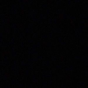 Meet your Posher, Leo